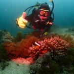 近村勇之助写真