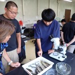 20250808森里海連環学実習2