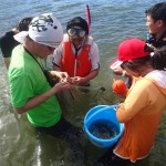 20190807森里海連環学実習4