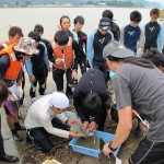 20140826採集物の選別