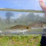 20250823海洋系実習I4