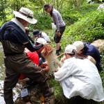 20250806森里海連環学実習2