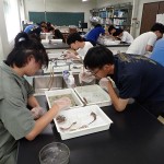 20250830海洋系実習II