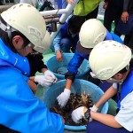 20250827海洋系実習II2