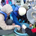 20250305仔稚魚学実習2