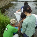 20140808森里海連環学実習 和久川