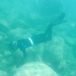 20250829海洋系実習II2