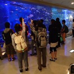 20150924 秋の実習1 魚っ知館見学