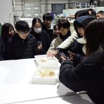 20250303仔稚魚学実習