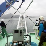 20250305仔稚魚学実習1