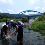 中流域調査（130806）