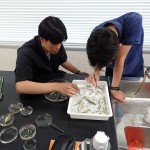 20250823海洋系実習I5