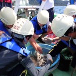 20250722西舞鶴高校実習3