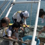 130605広島大学実習2