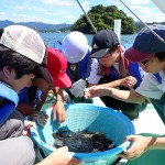 20250719ILASセミナー3