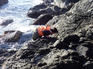 山守さん調査風景