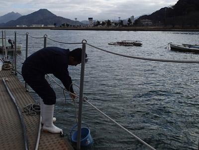 舞鶴水産実験所 海況 気象 データの画像