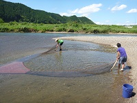 舞鶴水産実験所 共同利用 研究の画像