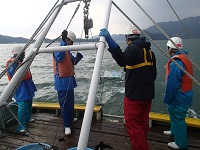 image for Maizuru Fisheries Research Station, Joint, Field course