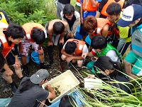 京都大学 水産 実習 募集の画像